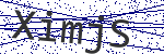 Code verification