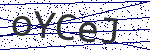 Code verification