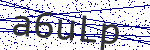 Code verification
