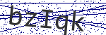 Code verification