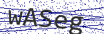 Code verification