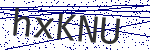Code verification