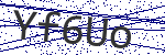 Code verification