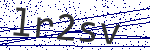 Code verification