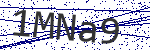 Code verification
