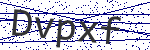 Code verification