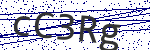 Code verification