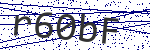 Code verification