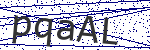 Code verification