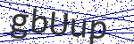 Code verification