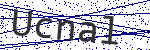 Code verification