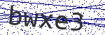 Code verification