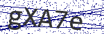 Code verification