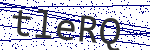 Code verification