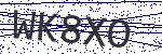Code verification