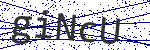 Code verification