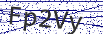 Code verification