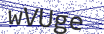 Code verification