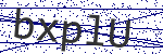 Code verification