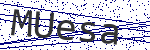 Code verification