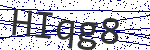 Code verification