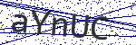 Code verification