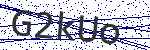 Code verification