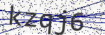 Code verification