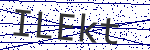 Code verification