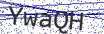 Code verification