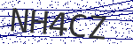 Code verification