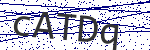 Code verification