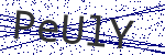 Code verification