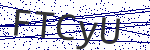 Code verification