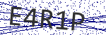 Code verification