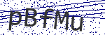 Code verification