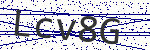 Code verification