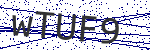 Code verification