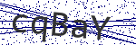 Code verification