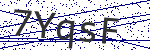 Code verification