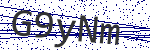 Code verification
