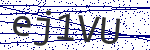 Code verification