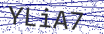 Code verification