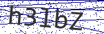 Code verification