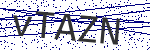 Code verification