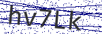 Code verification