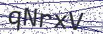 Code verification