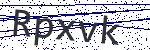 Code verification