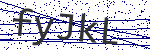 Code verification