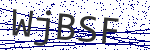 Code verification